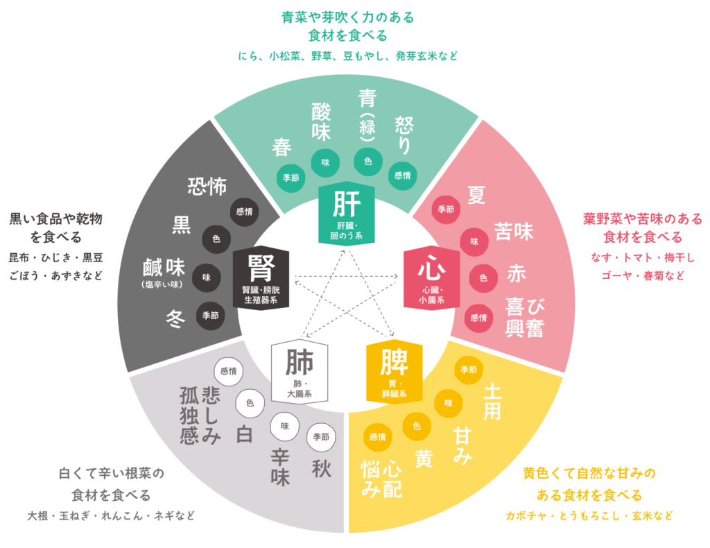 五臓チャートマップ