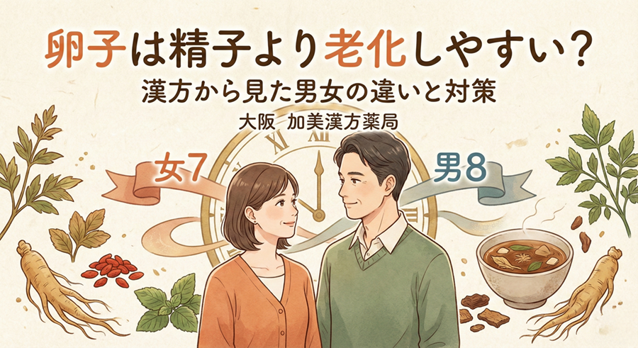 卵子は精子より老化しやすい？漢方から見た男女の違いを大阪の加美漢方薬局が解説
